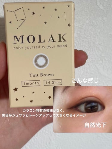 MOLAK 1month ティントブラウン/MOLAK/１ヶ月（１MONTH）カラコンを使ったクチコミ（2枚目）