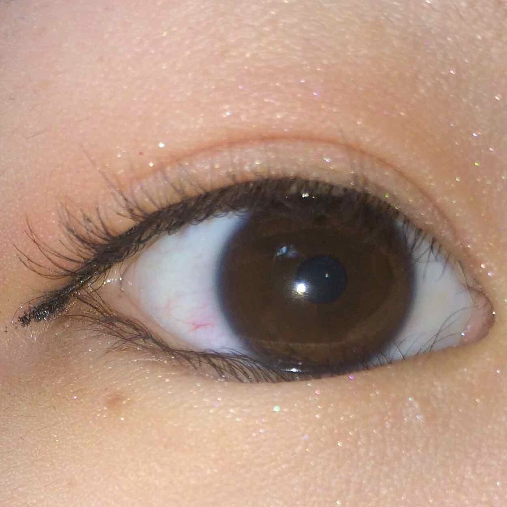 【旧品】パーフェクトスタイリストアイズ/キャンメイク/アイシャドウパレットを使ったクチコミ(1枚目)