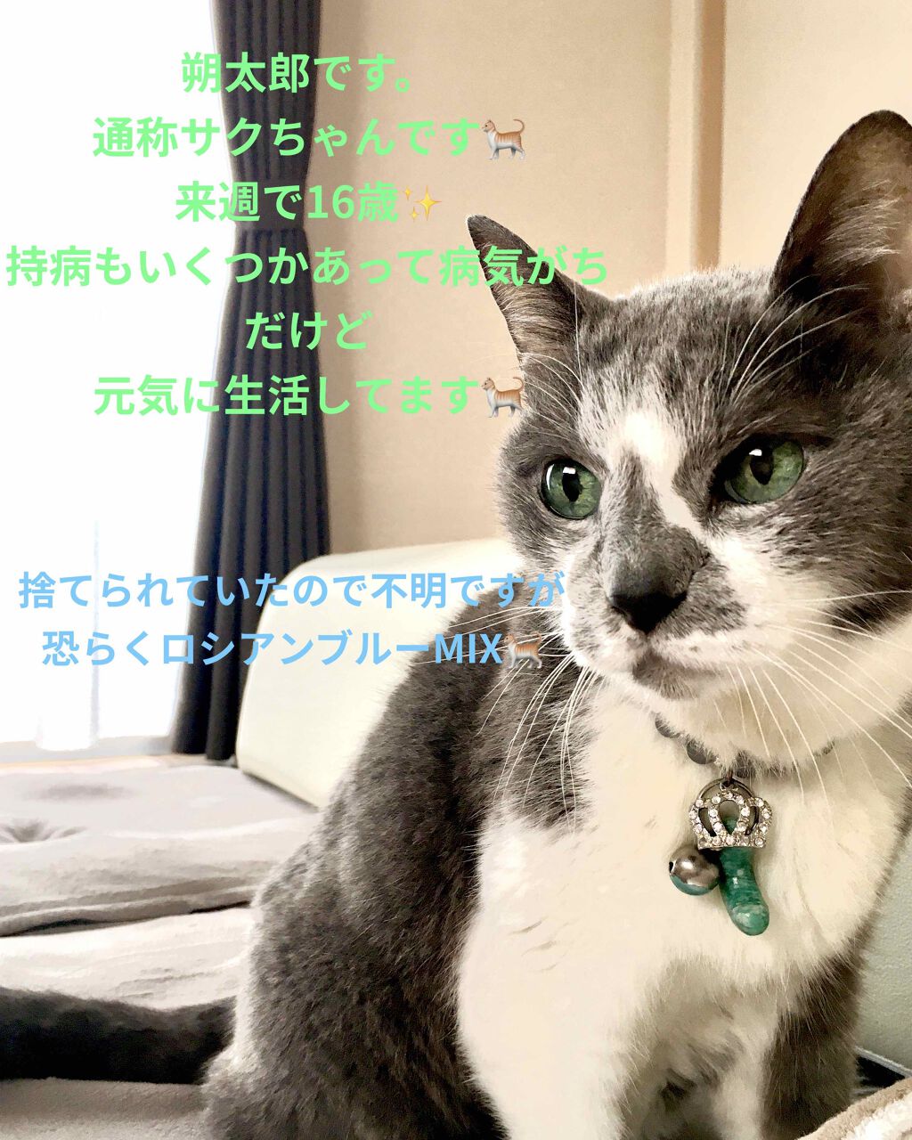 除菌ウェットティッシュ ノンアルコールタイプ/シルコット/ティッシュを使ったクチコミ(2枚目)