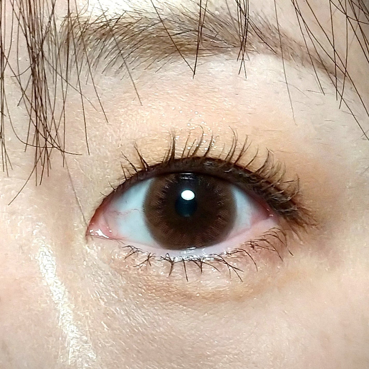 プランぷくコーデアイズ/キャンメイク/パウダーアイシャドウを使ったクチコミ(3枚目)