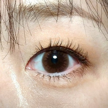 プランぷくコーデアイズ/キャンメイク/パウダーアイシャドウを使ったクチコミ(3枚目)