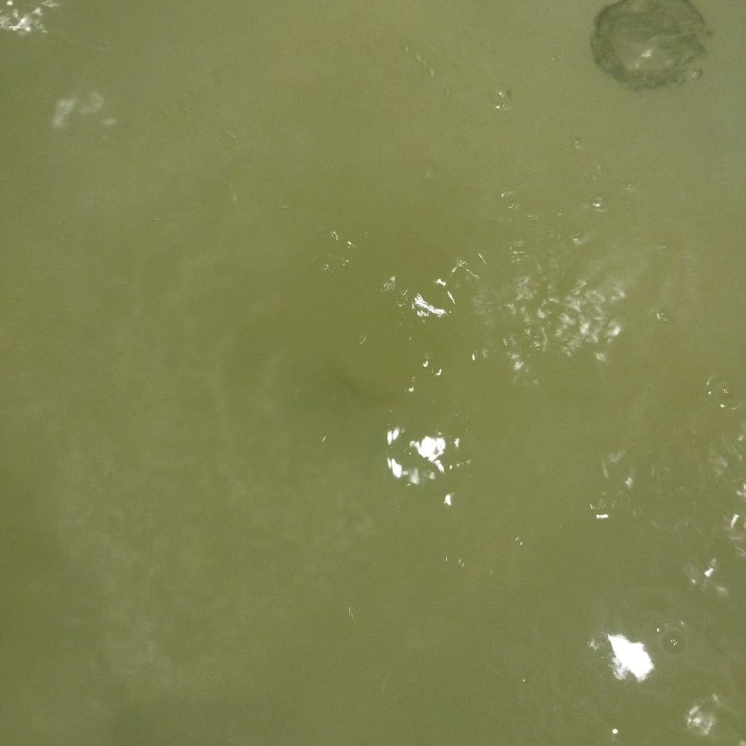 バブ メディキュア 金木犀の香り/バブ/その他を使ったクチコミ（3枚目）