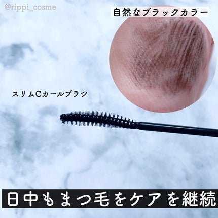 コスノリ アイラッシュティンティングセラム/COSNORI/まつげ美容液を使ったクチコミ(2枚目)