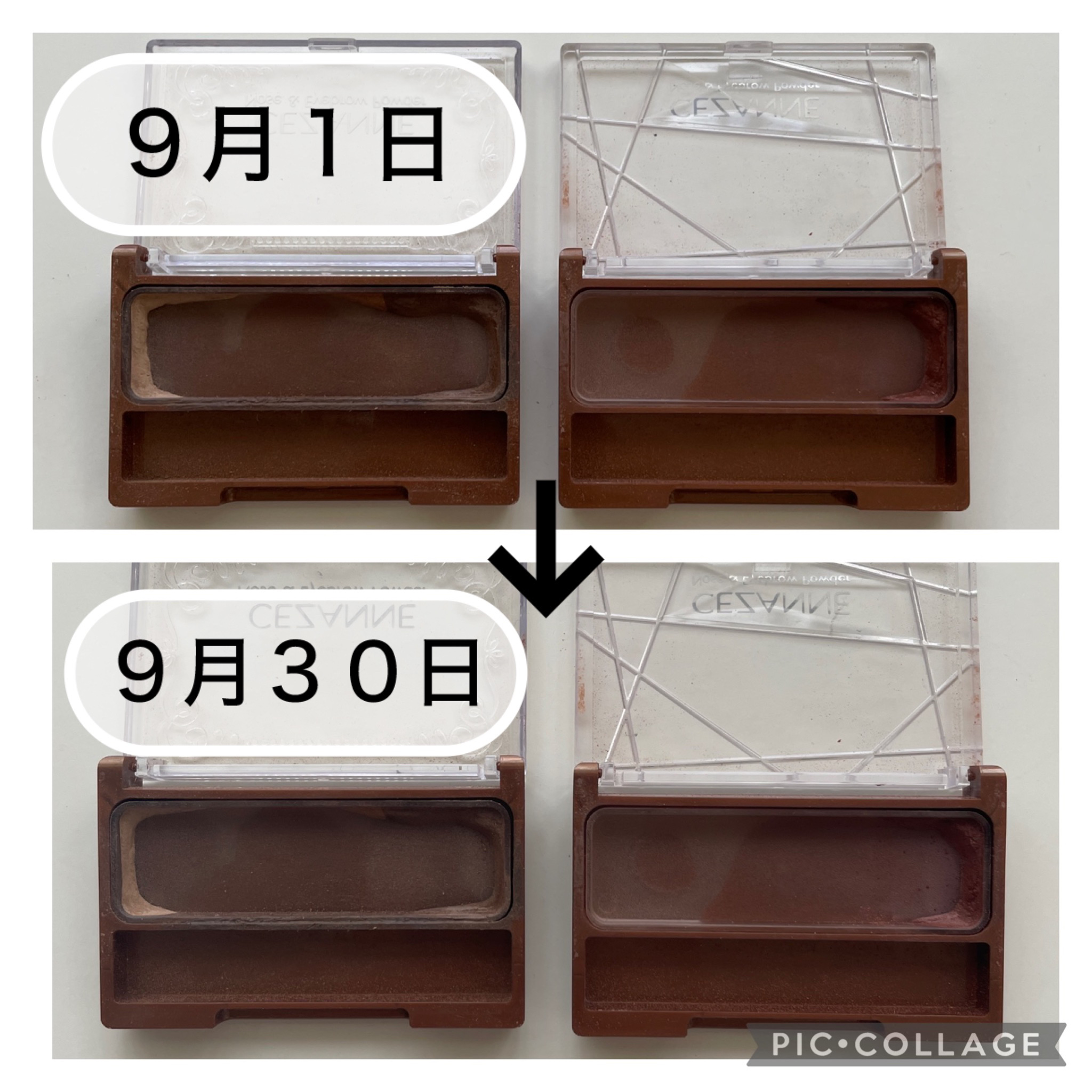 ノーズ＆アイブロウパウダー/CEZANNE/パウダーアイブロウを使ったクチコミ（2枚目）