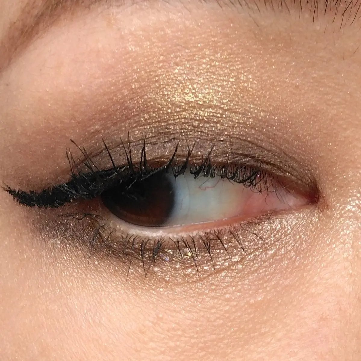 サンク クルール クチュール<ゴールデン ナイツ>/Dior/アイシャドウパレットを使ったクチコミ(2枚目)