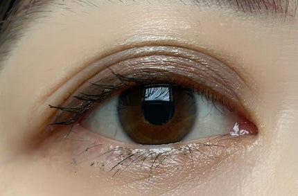 セルヴォーク ヴァティック アイパレット 01 スモーキーブラウン/Celvoke/アイシャドウパレットの画像