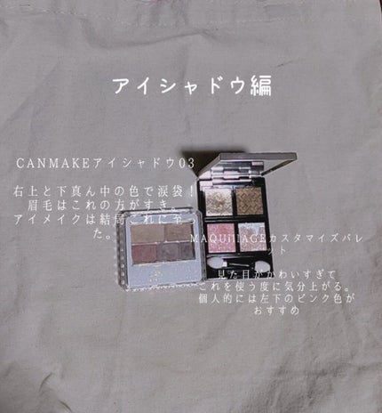 カラーミキシングコンシーラー/キャンメイク/パレットコンシーラーを使ったクチコミ(3枚目)