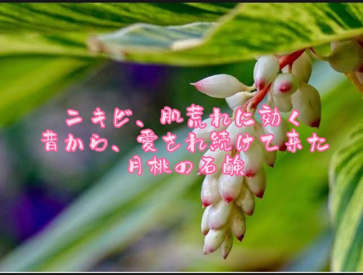 Rio(リさん) on LIPS 「はいさーい!🌴🌺✈こんにちは!Rioです!今日は、肌荒れ、ニキ..」(1枚目)