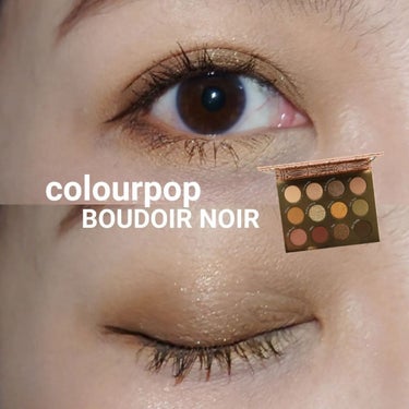 BOUDOIR NOIR/ColourPop/アイシャドウパレットを使ったクチコミ（1枚目）