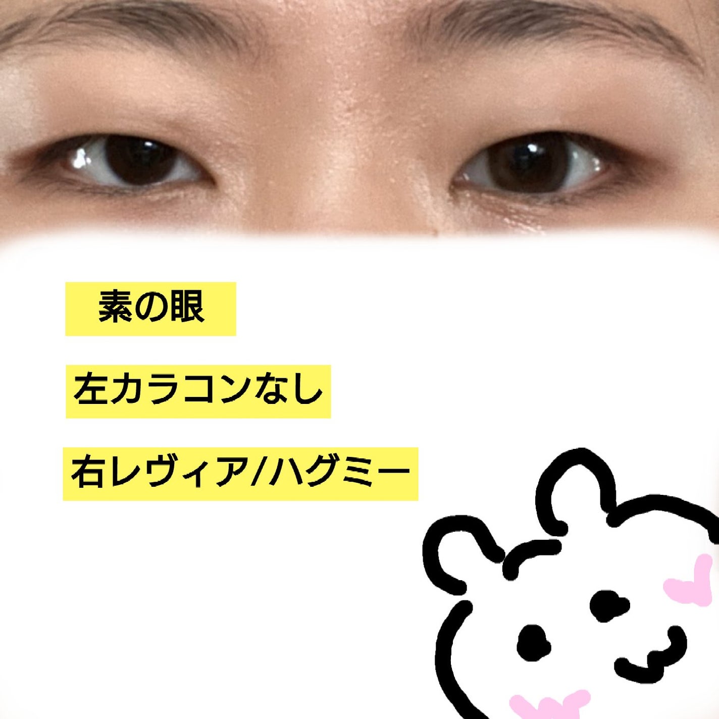 ReVIA CIRCLE 1day/ReVIA/ワンデー(1DAY)カラコンを使ったクチコミ(3枚目)