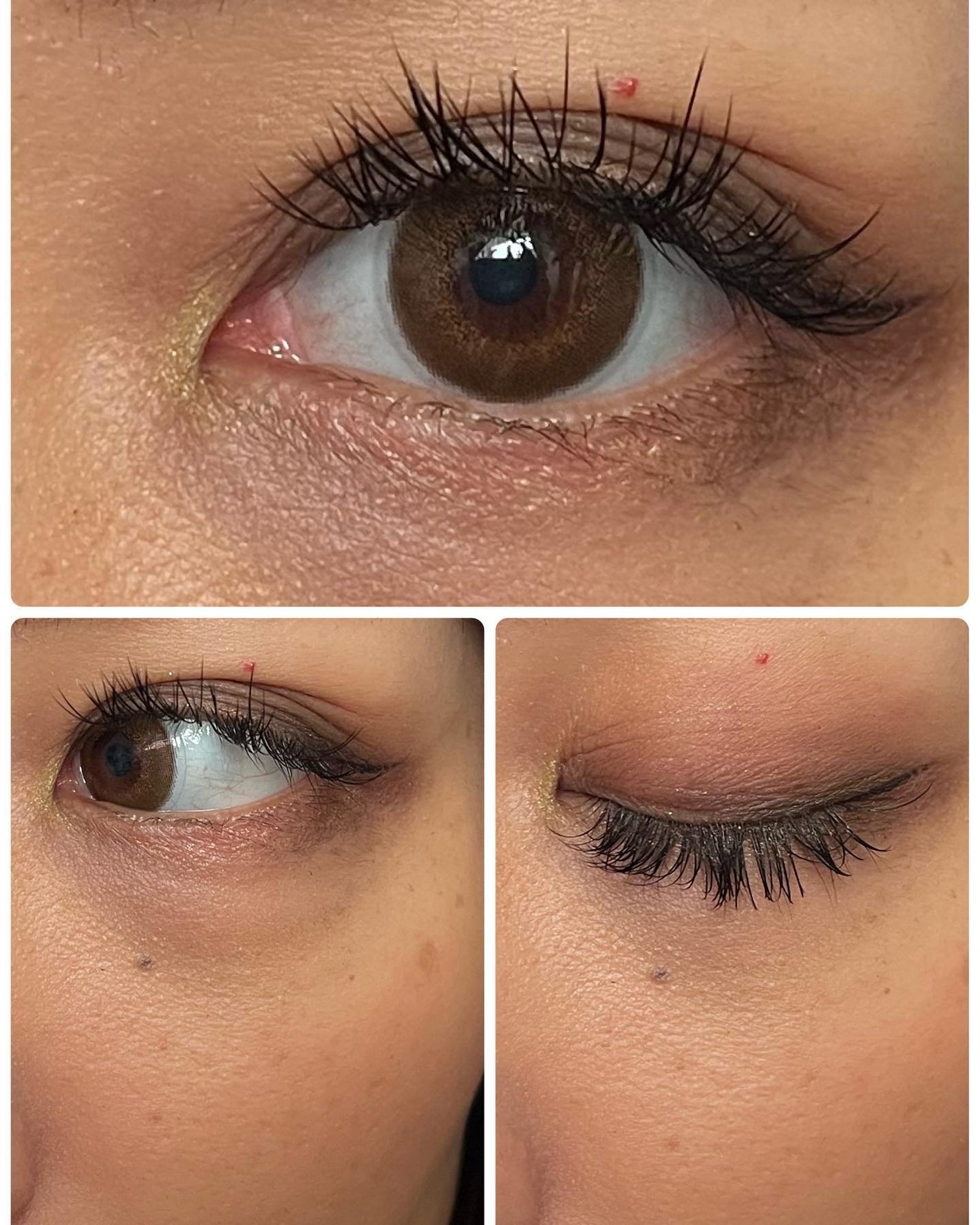 ブラッシュ カラー インフュージョン/ローラ メルシエ/パウダーチークを使ったクチコミ(5枚目)