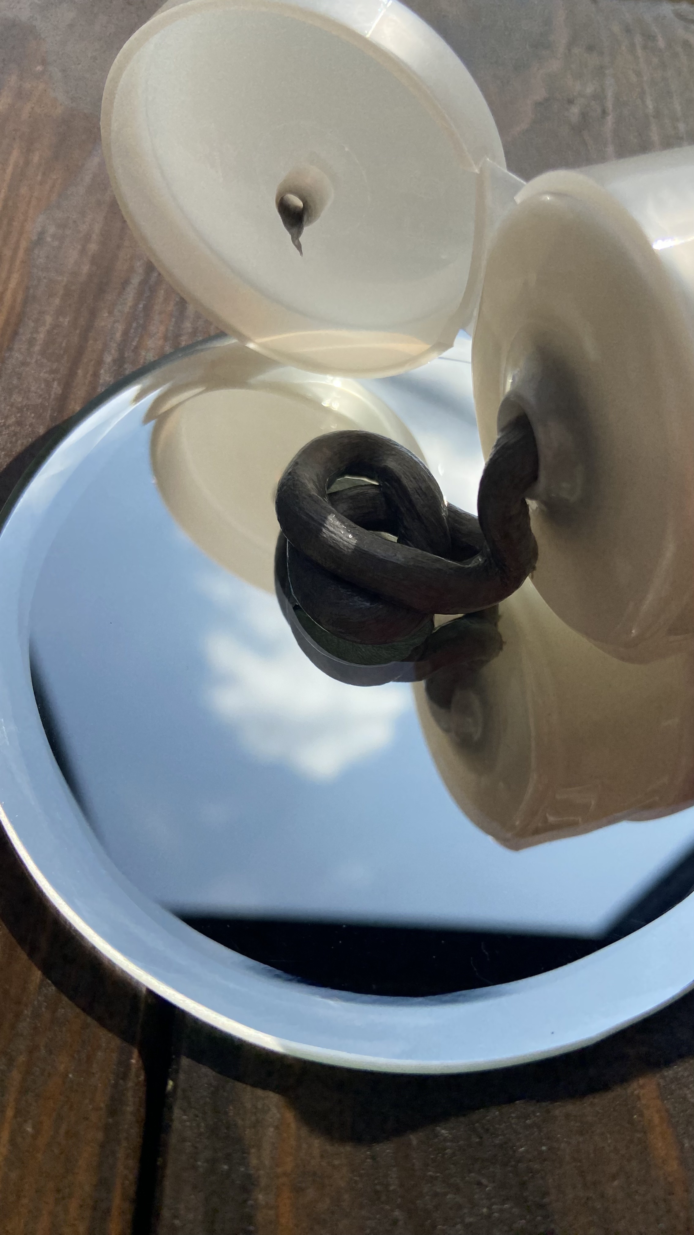 クレージュ クリアウォッシュ/CLAYGE/洗顔フォームを使ったクチコミ（3枚目）