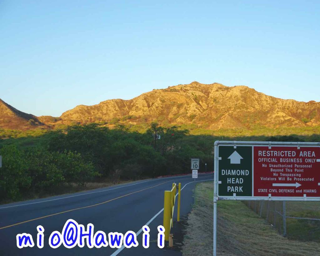 ナーズイスト ハードワイヤードアイキット/NARS/メイクアップキットを使ったクチコミ(2枚目)