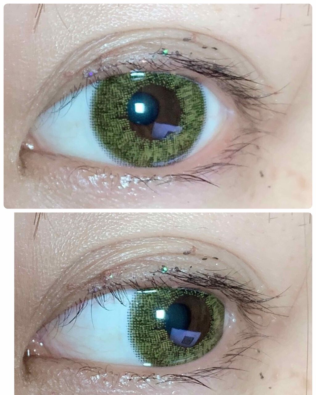 Angelcolor Bambi Series 1day /AngelColor/ワンデー（１DAY）カラコンを使ったクチコミ（2枚目）