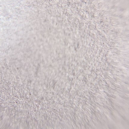 メルティング パウダー ブラッシュ/SUQQU/パウダーチークを使ったクチコミ(5枚目)