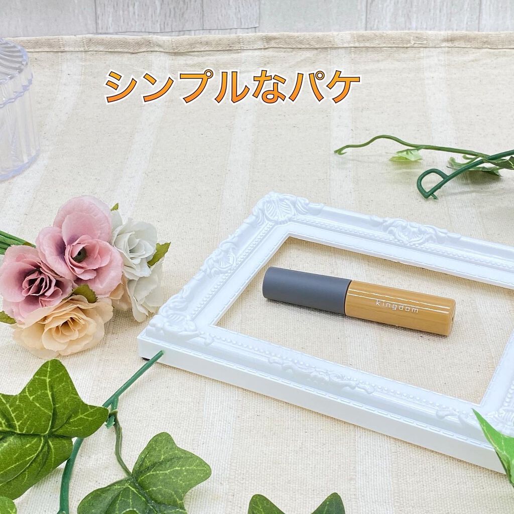 パウダリーリキッドアイブロウ ウルトラキープ /キングダム/リキッドアイブロウを使ったクチコミ(3枚目)