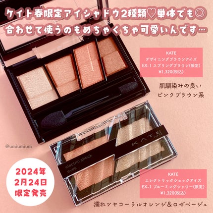 デザイニングブラウンアイズ/KATE/アイシャドウパレットを使ったクチコミ(2枚目)