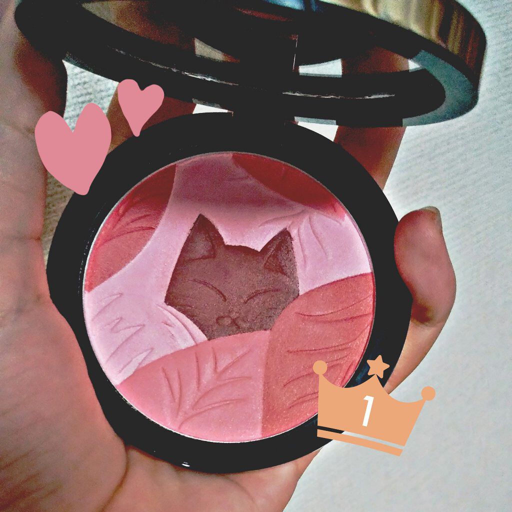 ドリームキャット　四色チーク 02#知性/ZEESEA/パウダーチークを使ったクチコミ（1枚目）