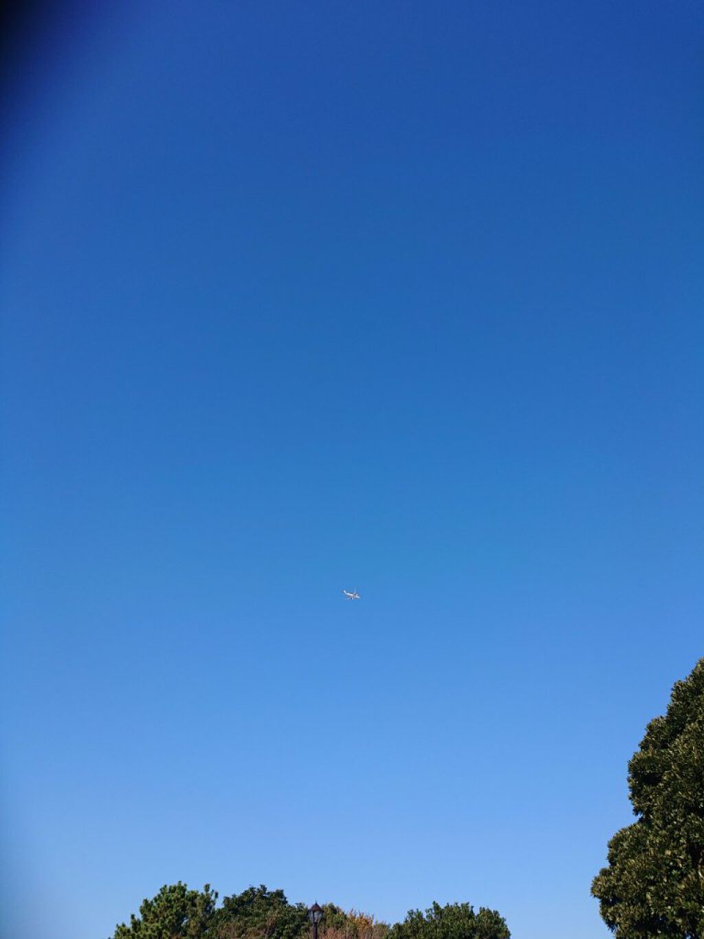 にゃーにゃ一団 on LIPS 「こんにちは✨😃❗今日まで休みでまたまた実家に来てて🏡朝、妹の病..」(7枚目)