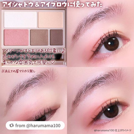 パーフェクトマルチアイズ/キャンメイク/アイシャドウパレットを使ったクチコミ(6枚目)