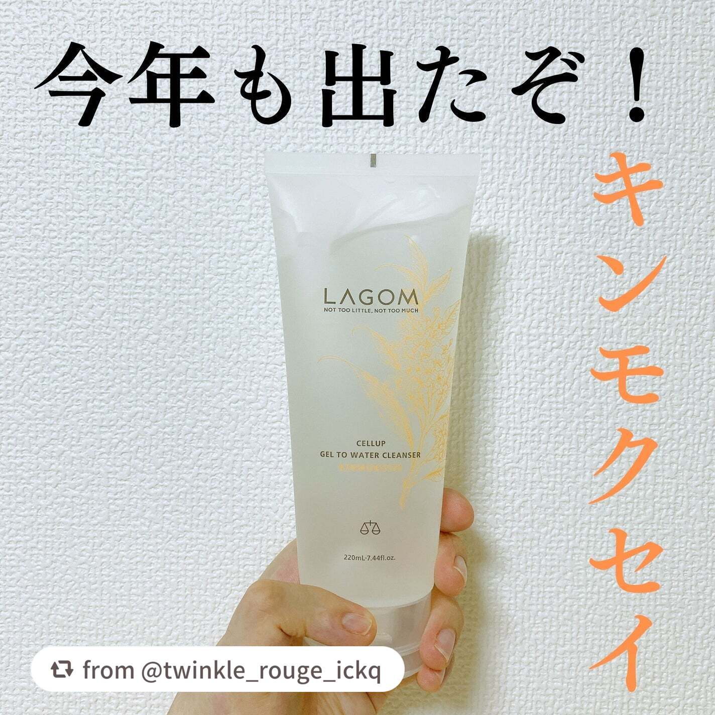 ラゴム ジェルトゥウォーター クレンザー(朝用洗顔)/LAGOM /その他洗顔料を使ったクチコミ(1枚目)