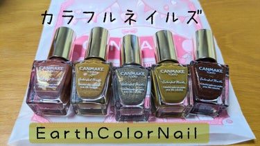 ✨CANMAKE  カラフルネイルズ  EarthColor✨

                    𓂃 𓈒𓏸◌‬◌*⃝̥◍♡𓂃 𓈒𓏸◌‬
                         大地のパ