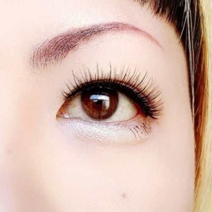 目元チュートリアルアイパレット/Colorgram/アイシャドウパレットを使ったクチコミ(6枚目)