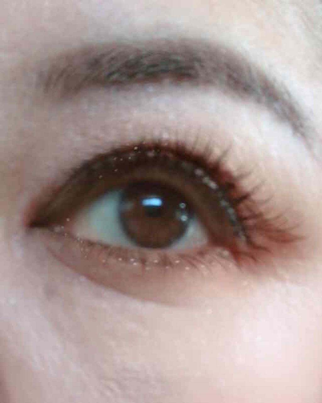 ミッシュブルーミン コラボアイラッシュ/DAISO/つけまつげを使ったクチコミ（3枚目）