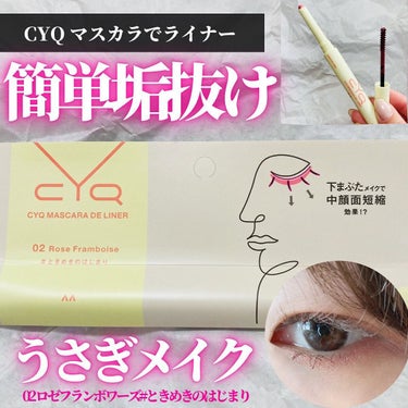 CYQ MASCARA DE LINER/CYQ/マスカラを使ったクチコミ（1枚目）