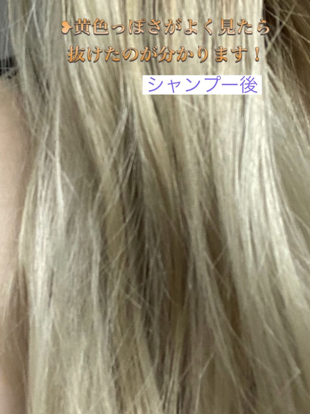 グッバイ イエロー カラーシャンプー/シュワルツコフ プロフェッショナル/市販シャンプーを使ったクチコミ（3枚目）