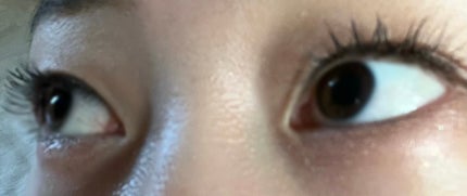 イージーラッシュ/ドーリーウインク/つけまつげを使ったクチコミ(2枚目)