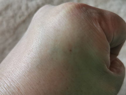 インファリブル ラスティング プライマー /ロレアル パリ/化粧下地を使ったクチコミ(3枚目)