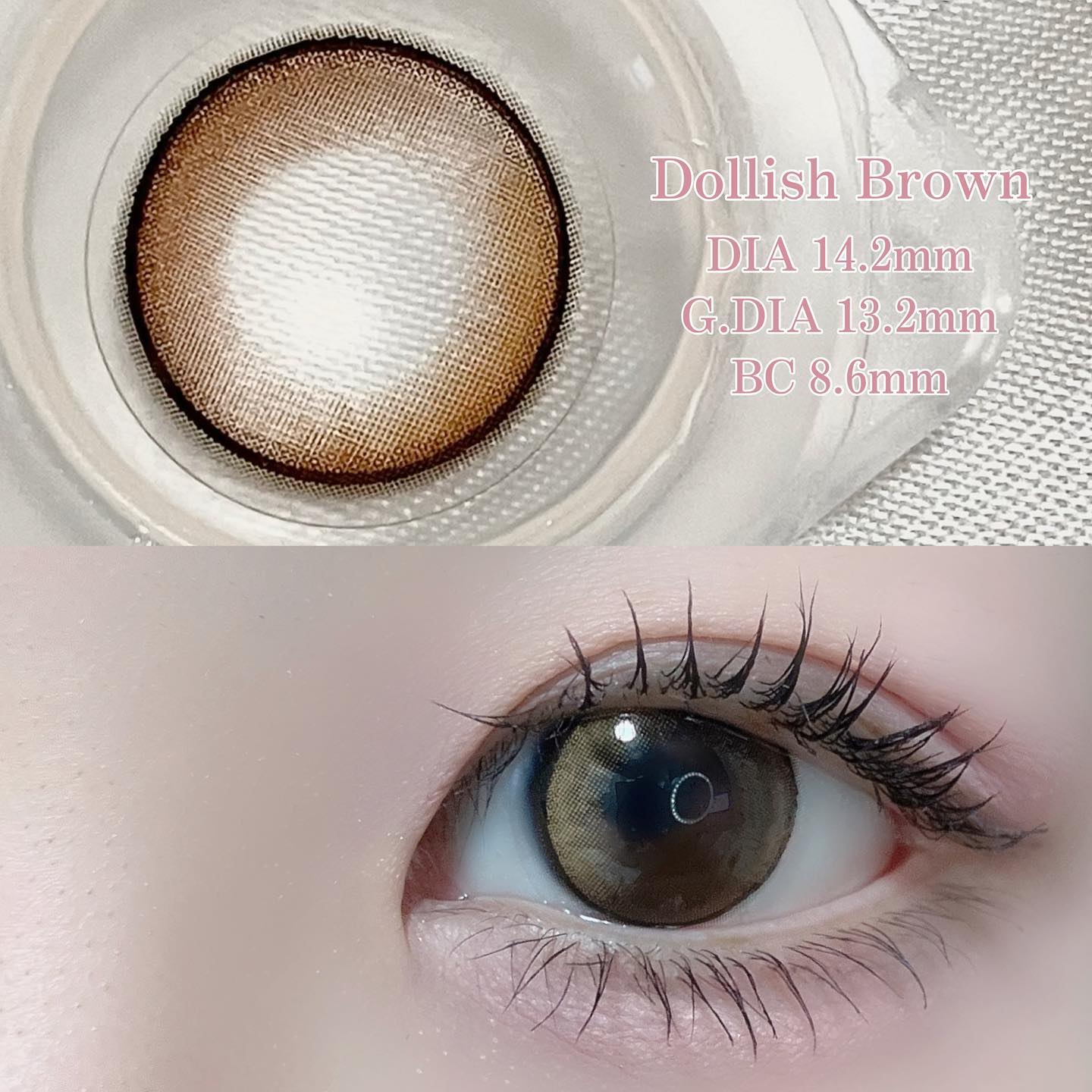 MOLAK 1day/MOLAK/ワンデー（１DAY）カラコンを使ったクチコミ（2枚目）