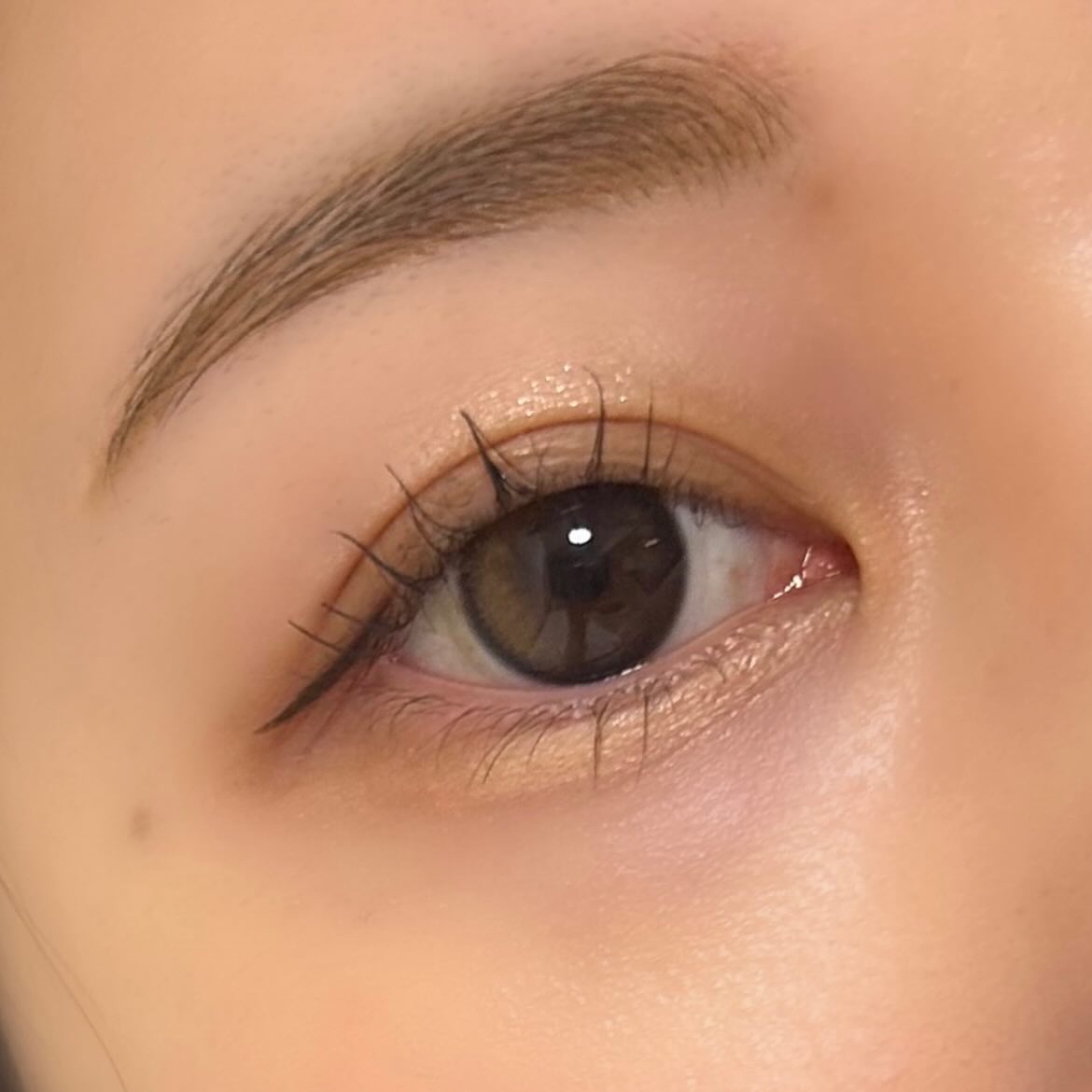 シャドウパレット/dasique/アイシャドウパレットを使ったクチコミ（2枚目）