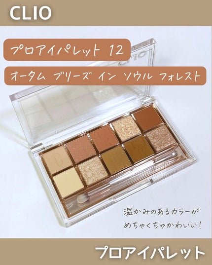 プロ アイ パレット/CLIO/アイシャドウパレットを使ったクチコミ(4枚目)