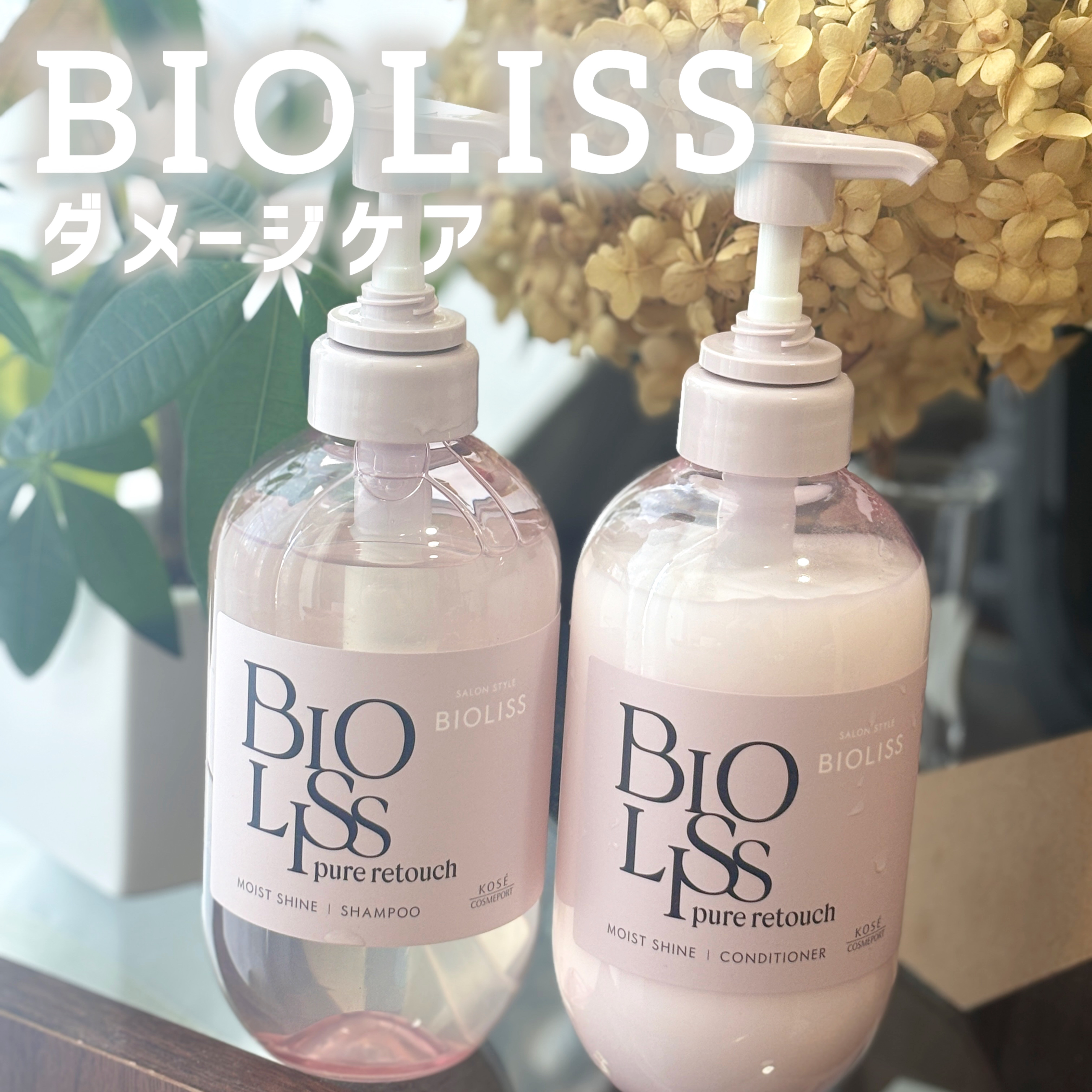 SS ビオリス ピュアレタッチ ぱやとぅや シャンプー/ヘアコンディショナー/SSビオリス/市販シャンプーを使ったクチコミ（1枚目）