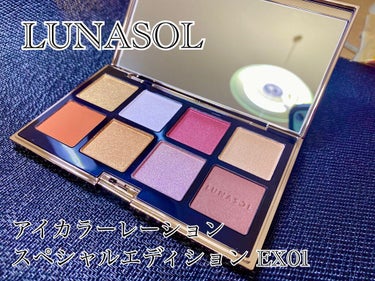 アイカラーレーション スペシャルエディション/LUNASOL/アイシャドウパレットを使ったクチコミ（1枚目）