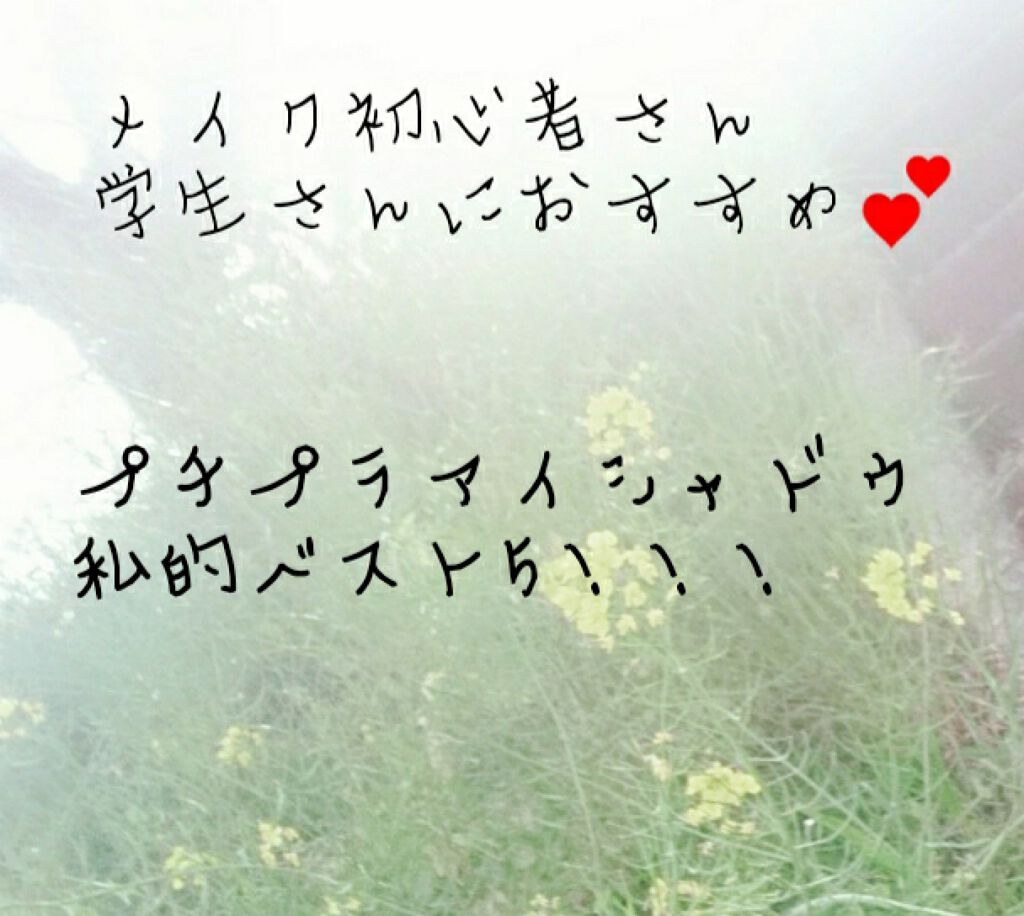 スキニーリッチシャドウ/excel/アイシャドウパレットを使ったクチコミ（1枚目）