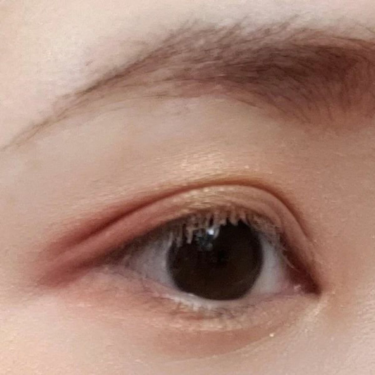 エッセンシャリスト アイパレット/SHISEIDO/アイシャドウパレットを使ったクチコミ(1枚目)