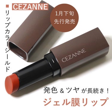 リップカラーシールド/CEZANNE/口紅を使ったクチコミ（1枚目）