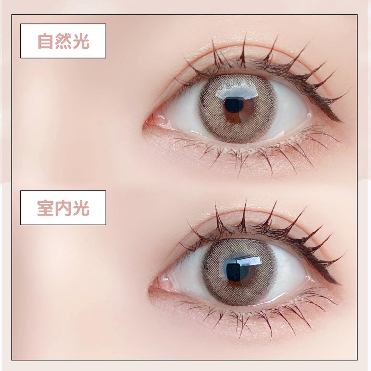 シルエットワンデー/LensVery/ワンデー(1DAY)カラコンを使ったクチコミ(3枚目)