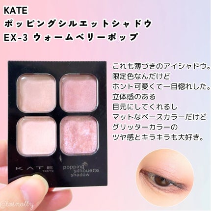 ケイト ポッピングシルエットシャドウ/KATE/アイシャドウパレットを使ったクチコミ(6枚目)
