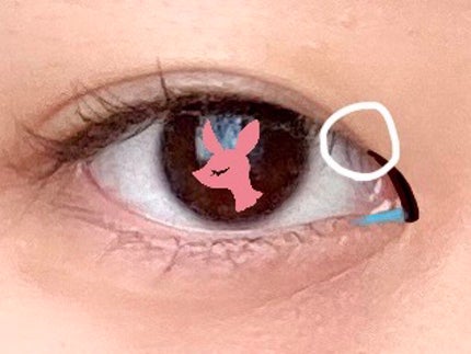 ♡こじか♡ on LIPS 「こんにちは!こじかです!🦌今回は、蒙古襞がある目頭を切開ライン..」(6枚目)