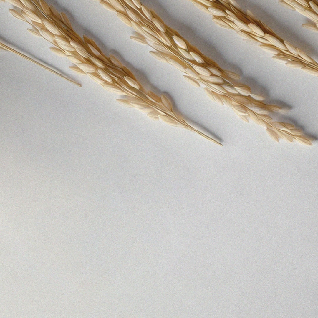 MADFORCOS(マッドフォーコス)公式アカウント on LIPS 「インデップスバイオセルロースマスク#インデップスマスクお肌にビ..」(1枚目)