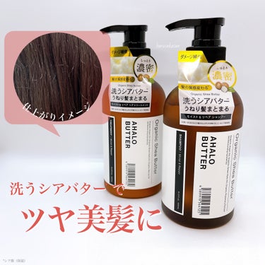 モイスト＆リペア シャンプー／ヘアトリートメント/AHALO BUTTER/シャンプー・コンディショナーを使ったクチコミ（3枚目）