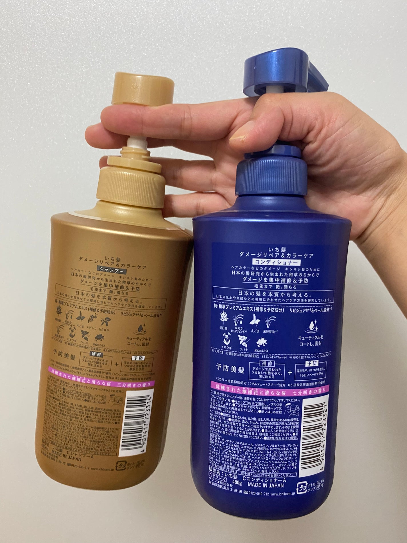 ãã¡ãŒãžãªãã¢ïŒã«ã©ãŒã±ã¢ ã·ã£ã³ããŒ/ã³ã³ãã£ã·ã§ããŒ/ãã¡é«ª/åžè²©ã·ã£ã³ããŒã䜿ã£ãã¯ãã³ãïŒ2æç®ïŒ