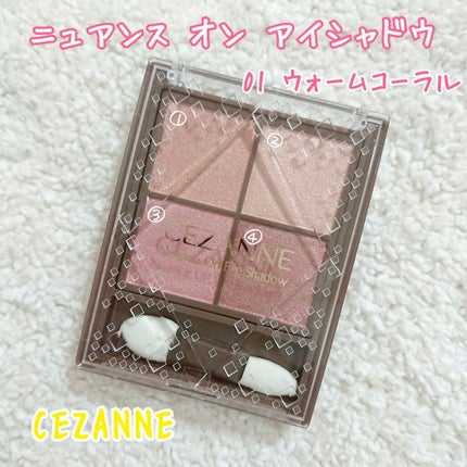 ニュアンスオンアイシャドウ/CEZANNE/アイシャドウパレットを使ったクチコミ(1枚目)