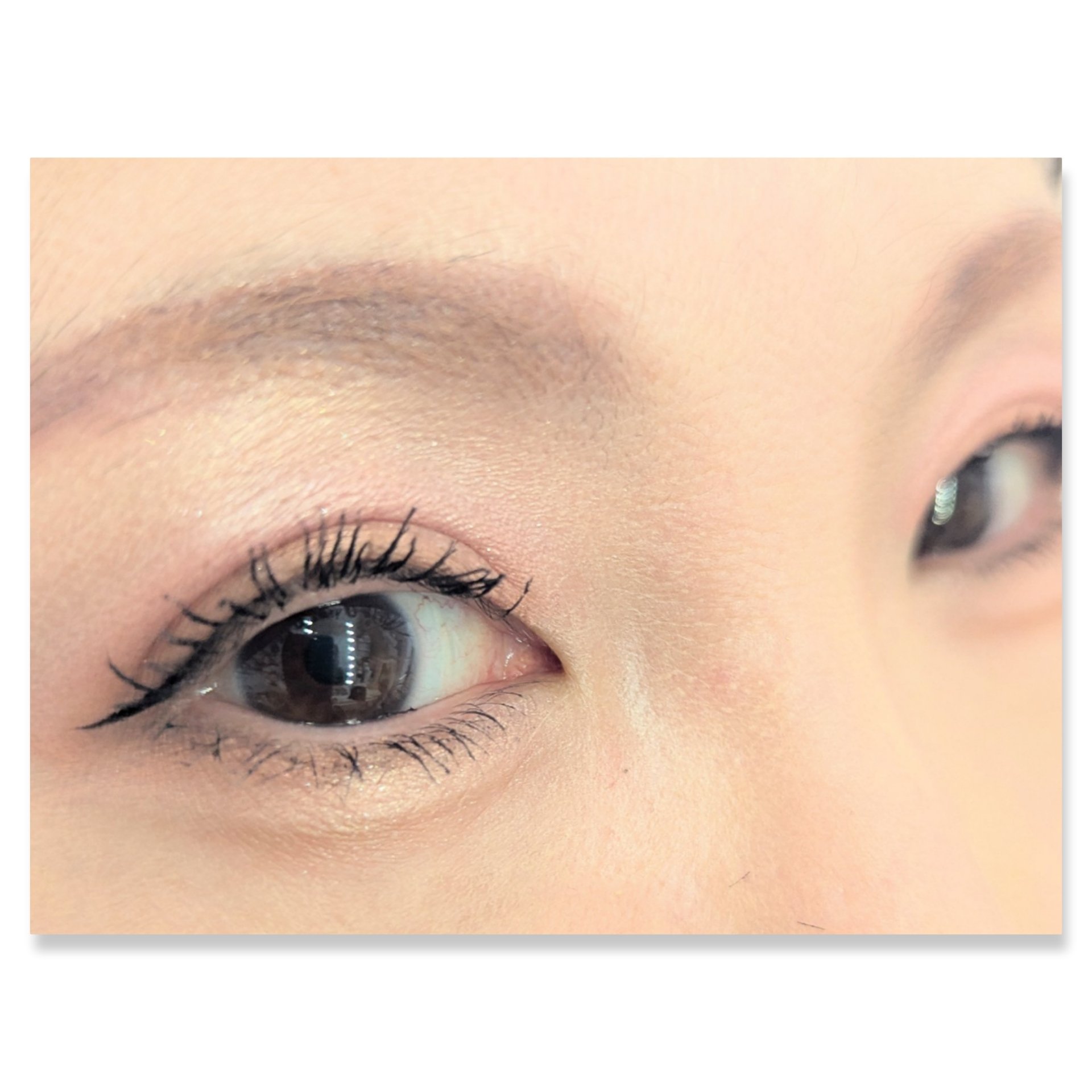 ル・ヌフ・ジバンシイ/GIVENCHY/アイシャドウパレットを使ったクチコミ（2枚目）