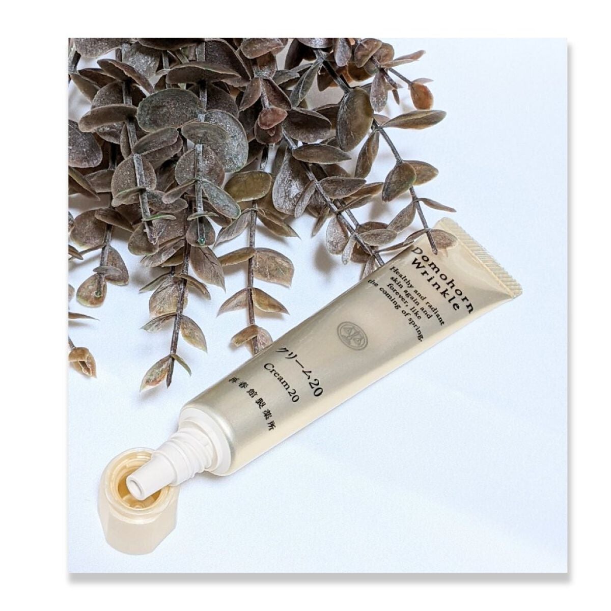 クリーム20/ドモホルンリンクル/フェイスクリームを使ったクチコミ(4枚目)