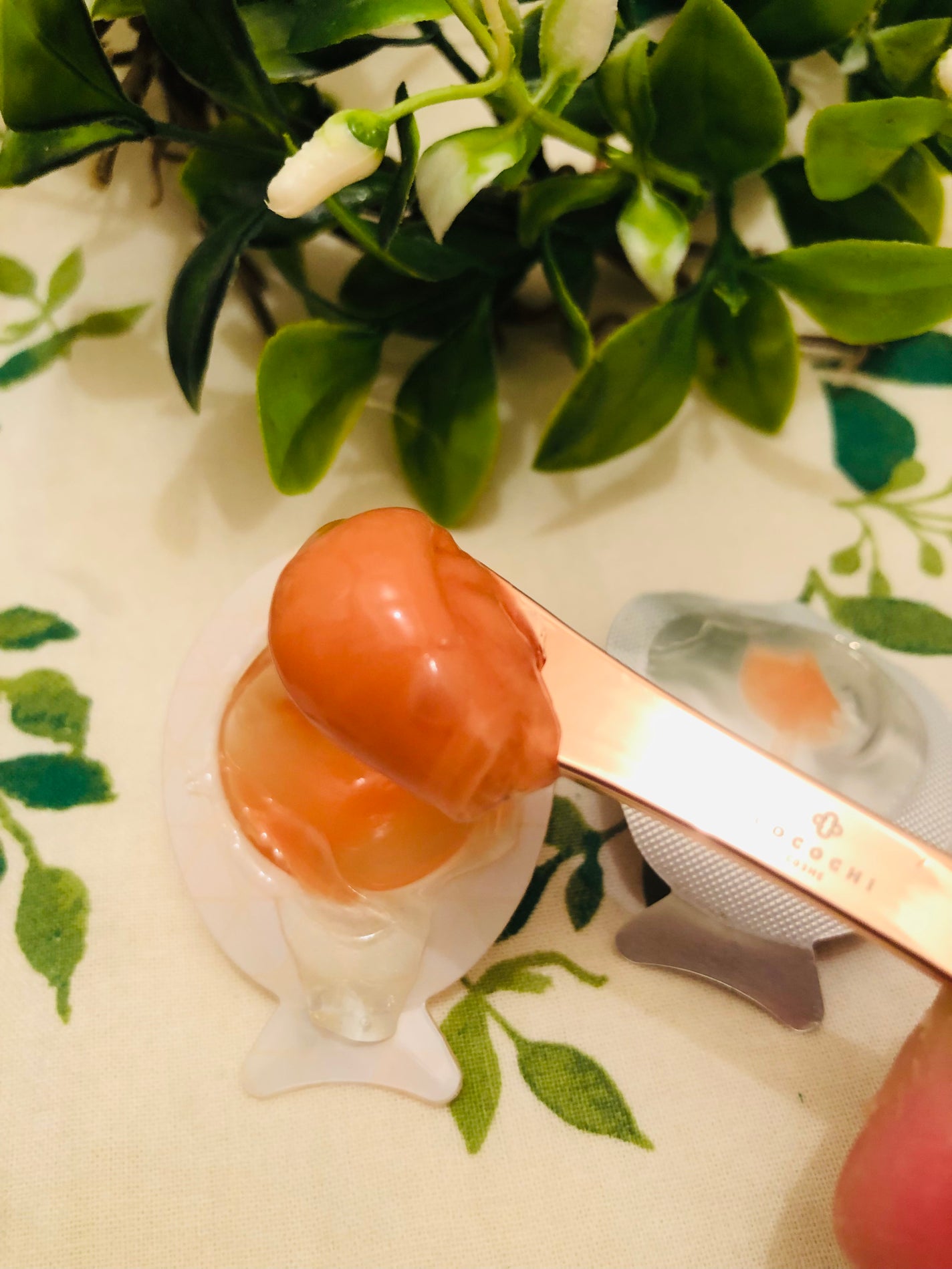 ココチ AG スリーピングパック N/COCOCHI/フェイスクリームを使ったクチコミ(6枚目)